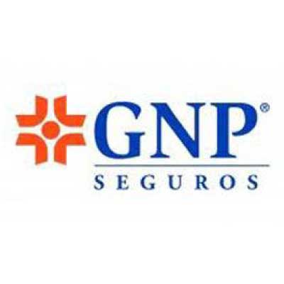 GNP